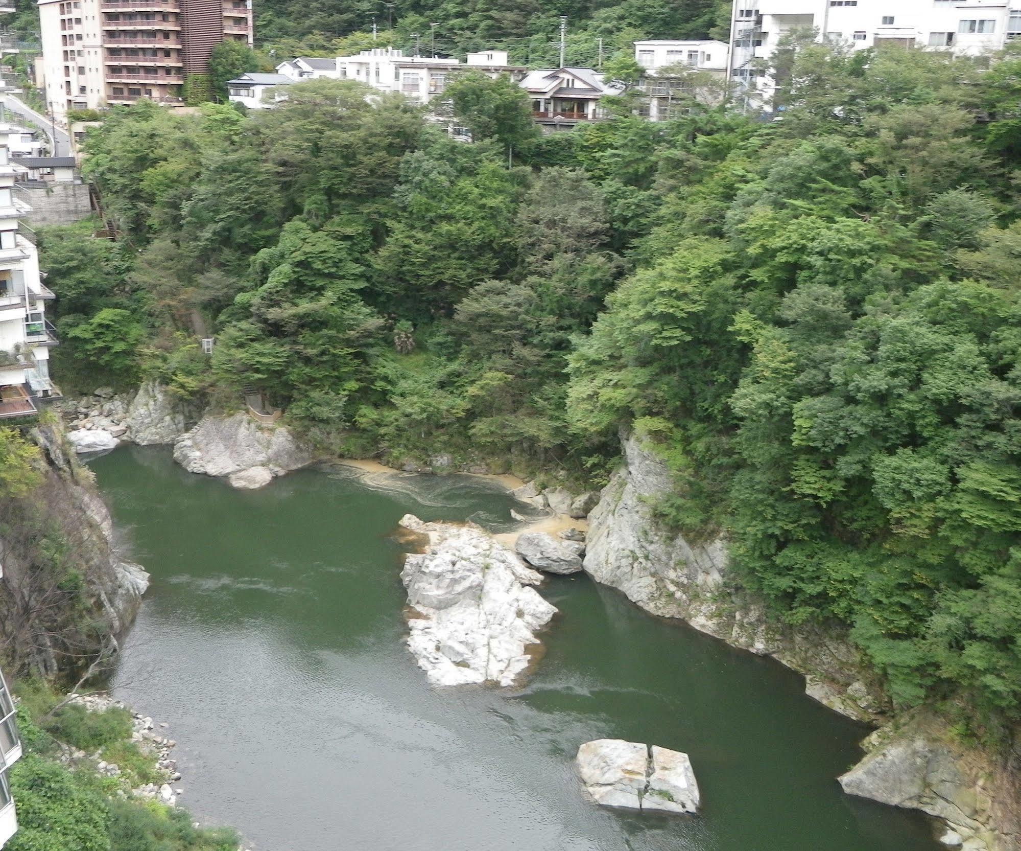 Hotel Monogusa no Yado Hanasenkyo Nikko Exterior foto